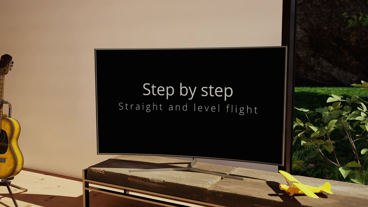 Step By Step: straight and level flight